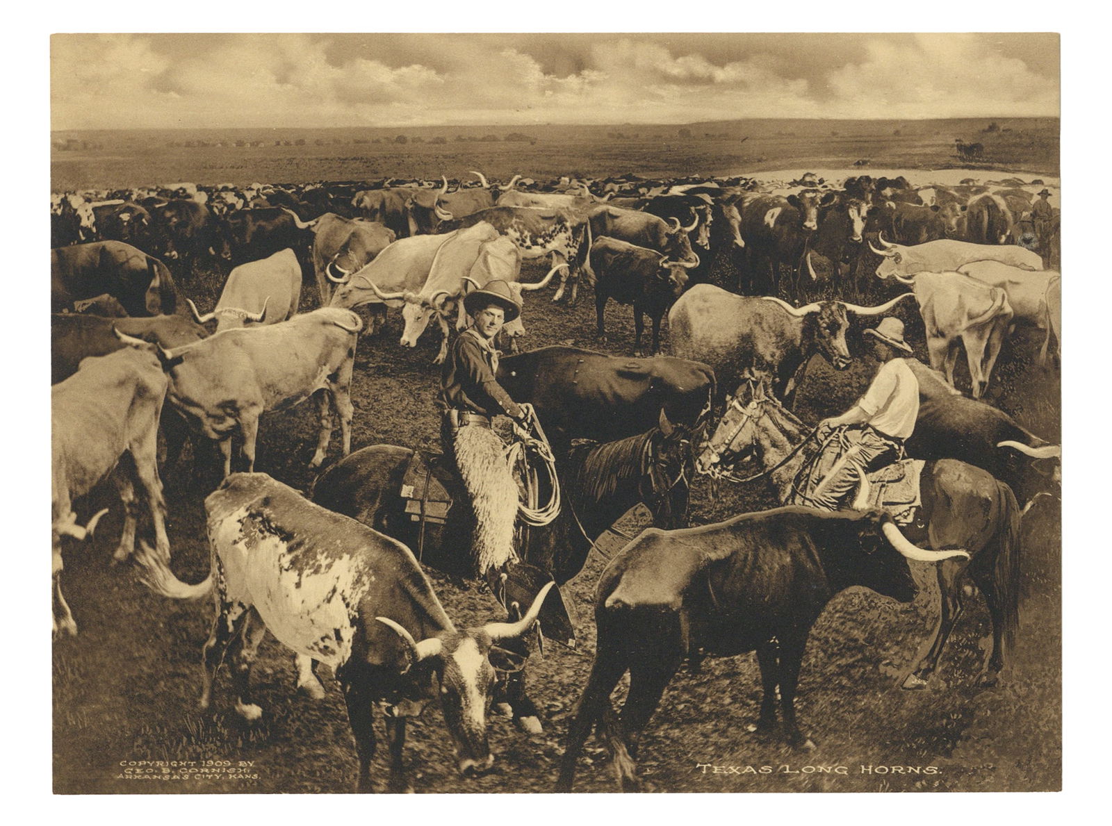 George Cornish Photograph 1909 Texas Longhorns (1 of 1)