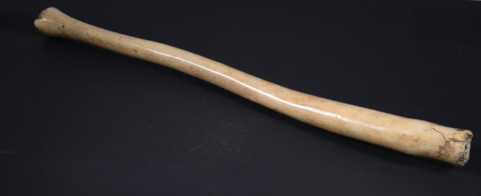 Walrus Bone