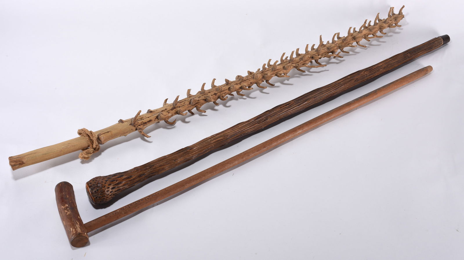 Skyline Drive Virginia Folk Walking Stick (1 of 3)