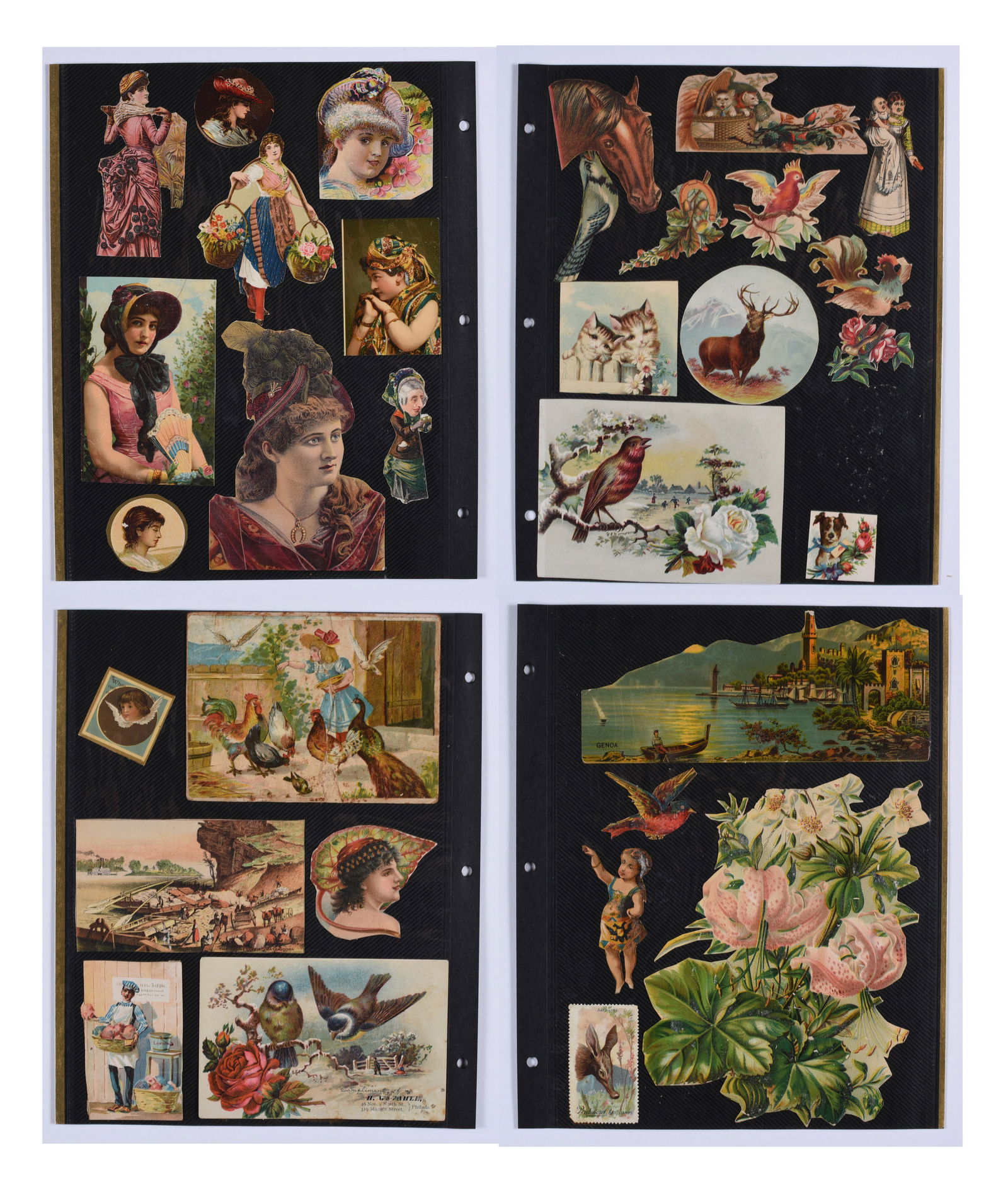 Collection of Victorian Trade Cards and Paper (1 of 5)