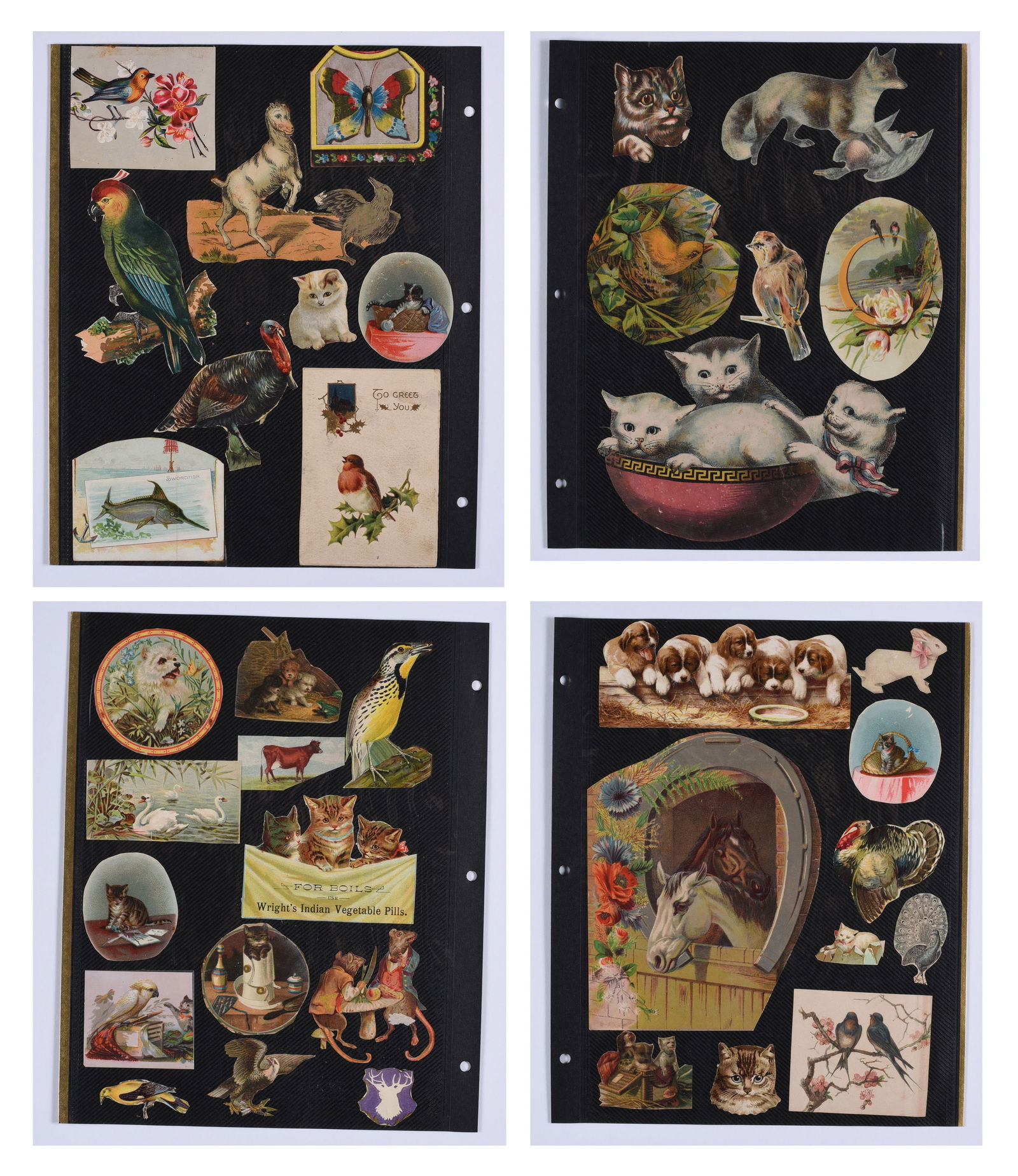 Collection of Victorian Trade Cards and Paper (1 of 5)