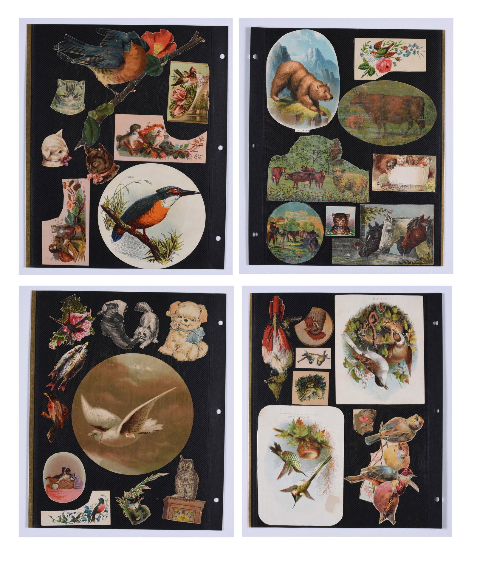 Collection of Victorian Trade Cards and Paper: these items are all fresh from an attic clean out. This is some very early Ephemera and paper. Please look close at all items we may have missed a good one and put it in a group! All items can be ship