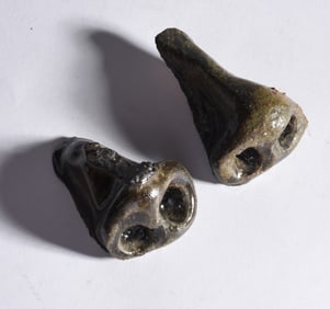Lanier Meaders Nose Pottery Fragments