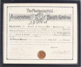 The Pharmacoutical Association of South Carolina