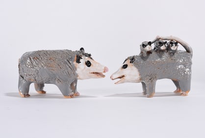 Lynn Bailey Opossum Family
