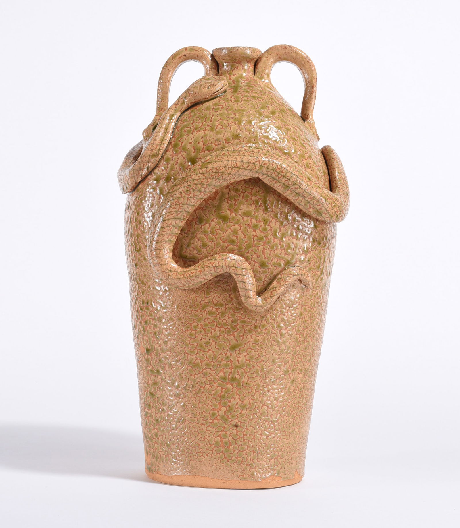 Marvin Bailey Snake Jug (1 of 4)