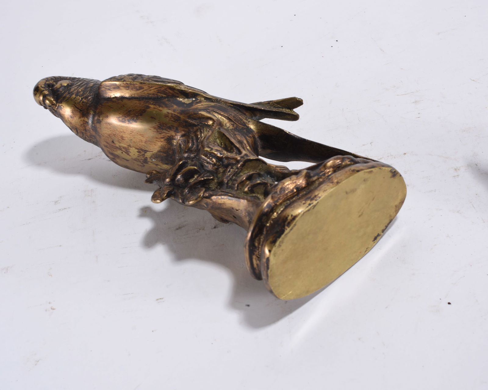 Parrot Book Ends - 2