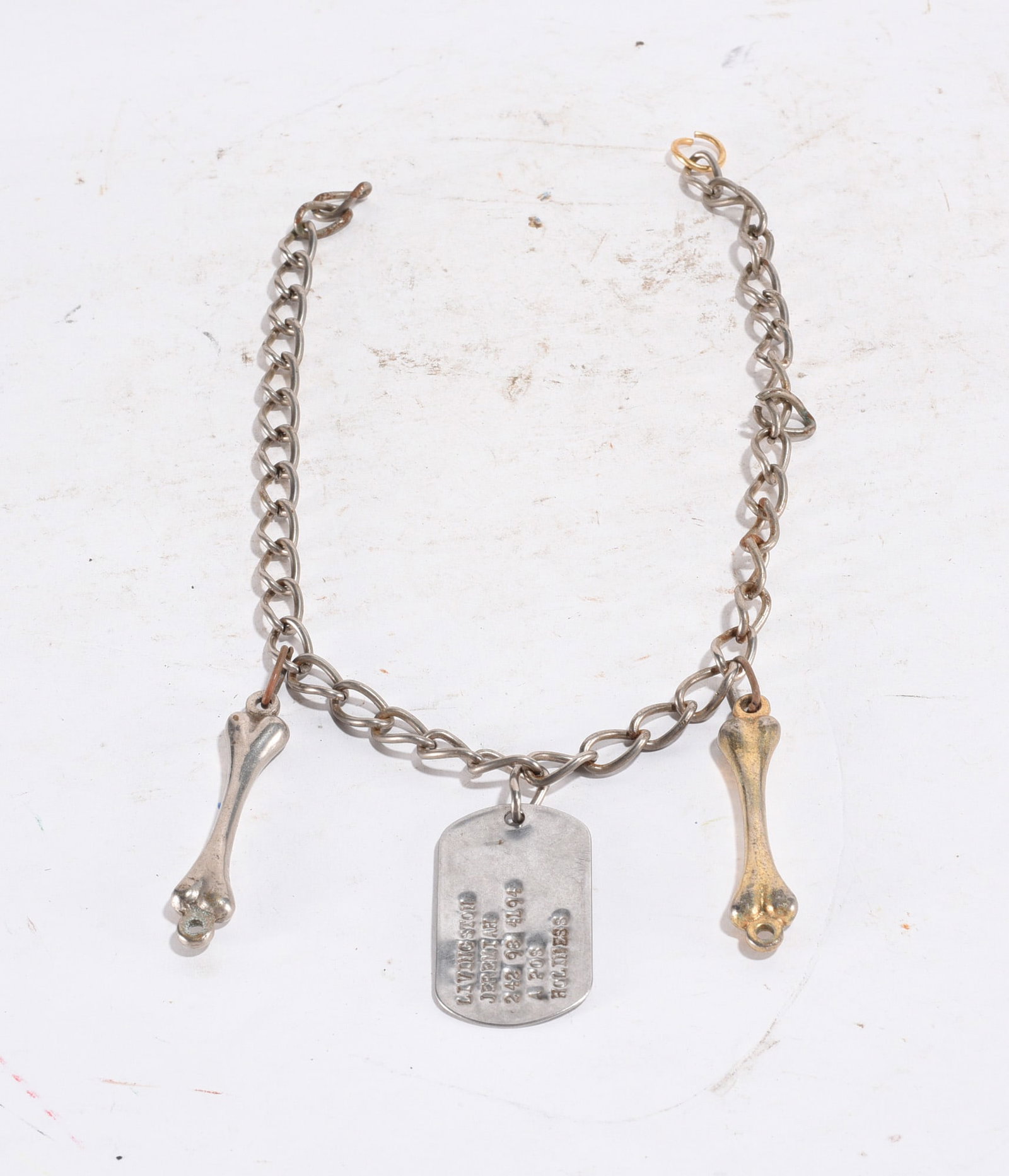 Vintage Dog Tags with Bones: Vintage Dog Tags with Bones
