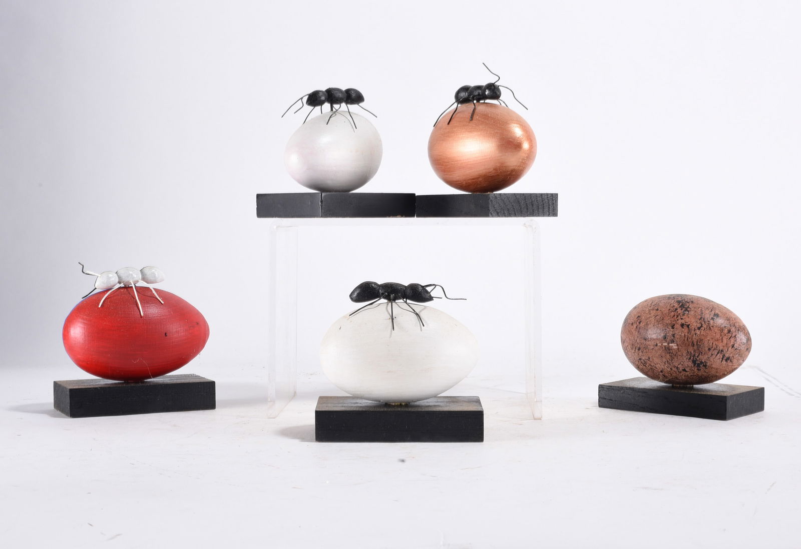 Gene Kangas Artwork Eggs: Gene Kangas Artwork Eggs