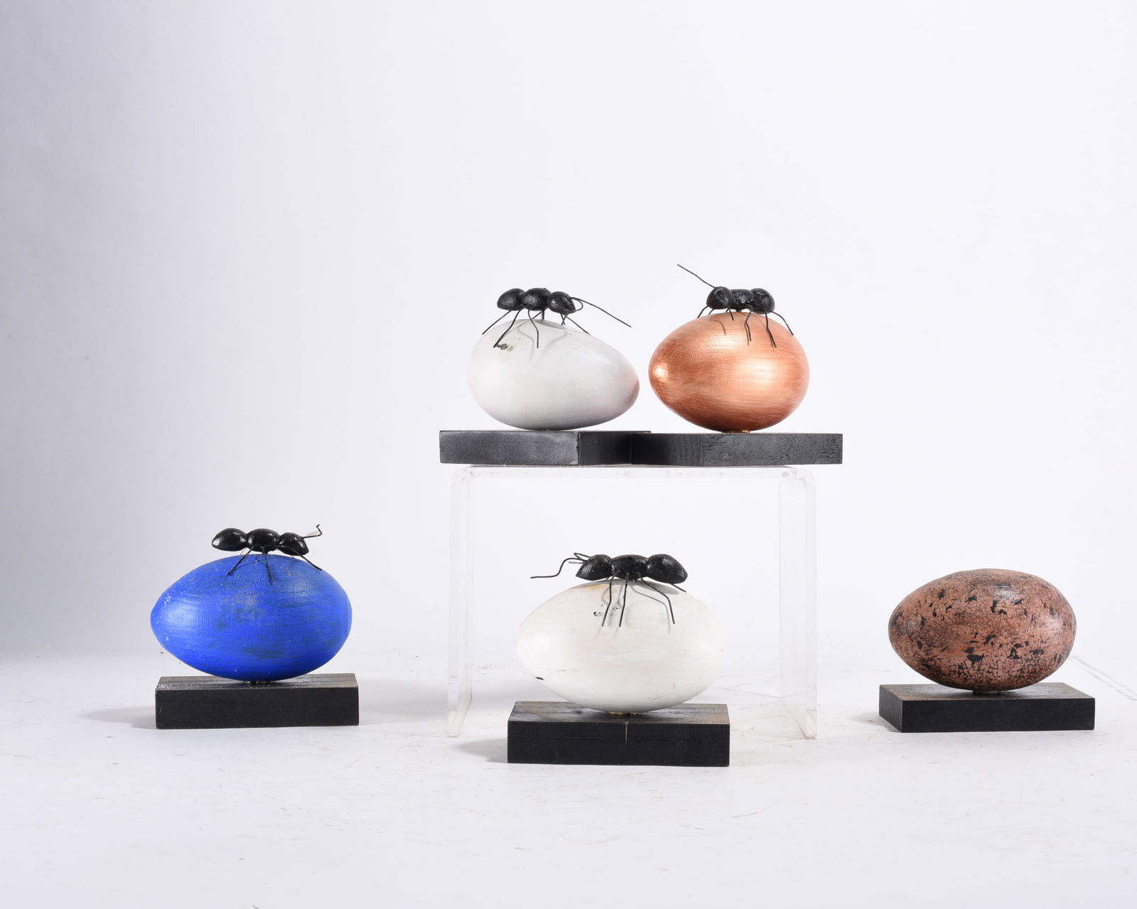 Gene Kangas Artwork Eggs - 2