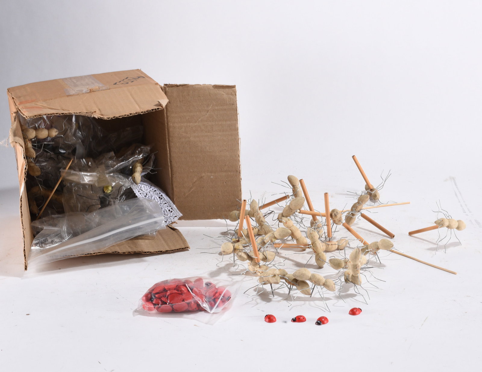 Gene Kangas Ant Collection: Gene Kangas Ant Collection