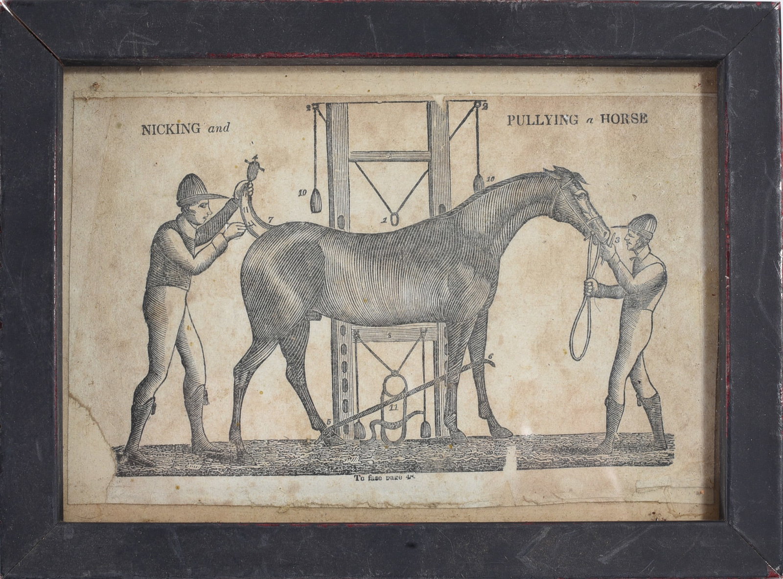 Framed Horse Veterinary Engraving Print: 8"x6" -- Framed antique style engraving depicting horse veterinary procedure scene