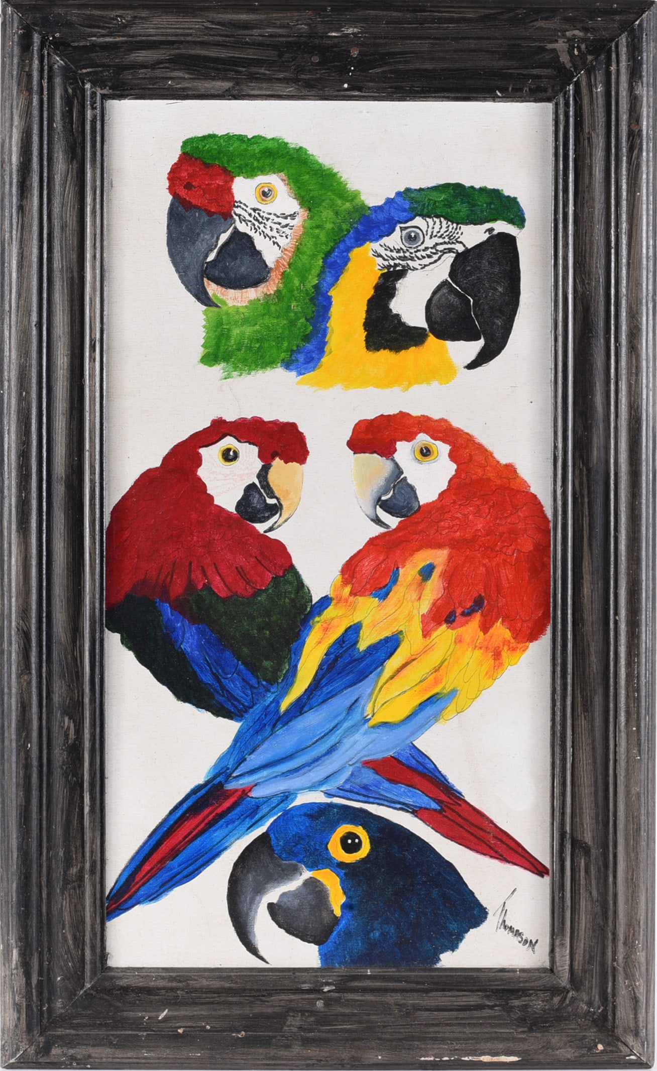 Painting of Parots signed Thompson: 17"x29" We do offer in house shipping for items under 36" boxes 10"x10"x10" we can ship for around $21. boxes 18x18x18 we can ship for around $56 - $65. to get in house shipping pay for your item and 