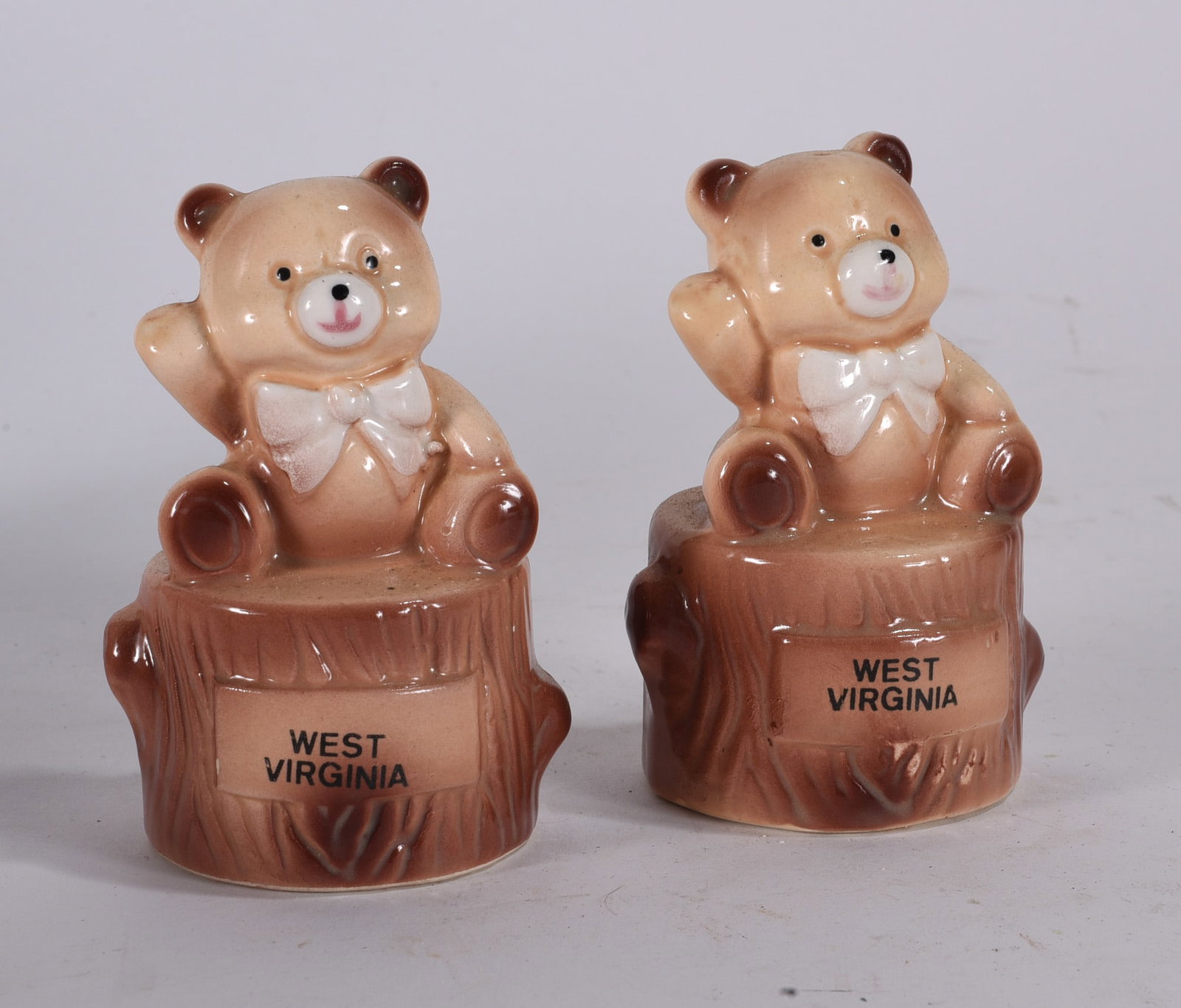 West Virginia Souvenir Bear Salt and Pepper Shakers (1 of 2)