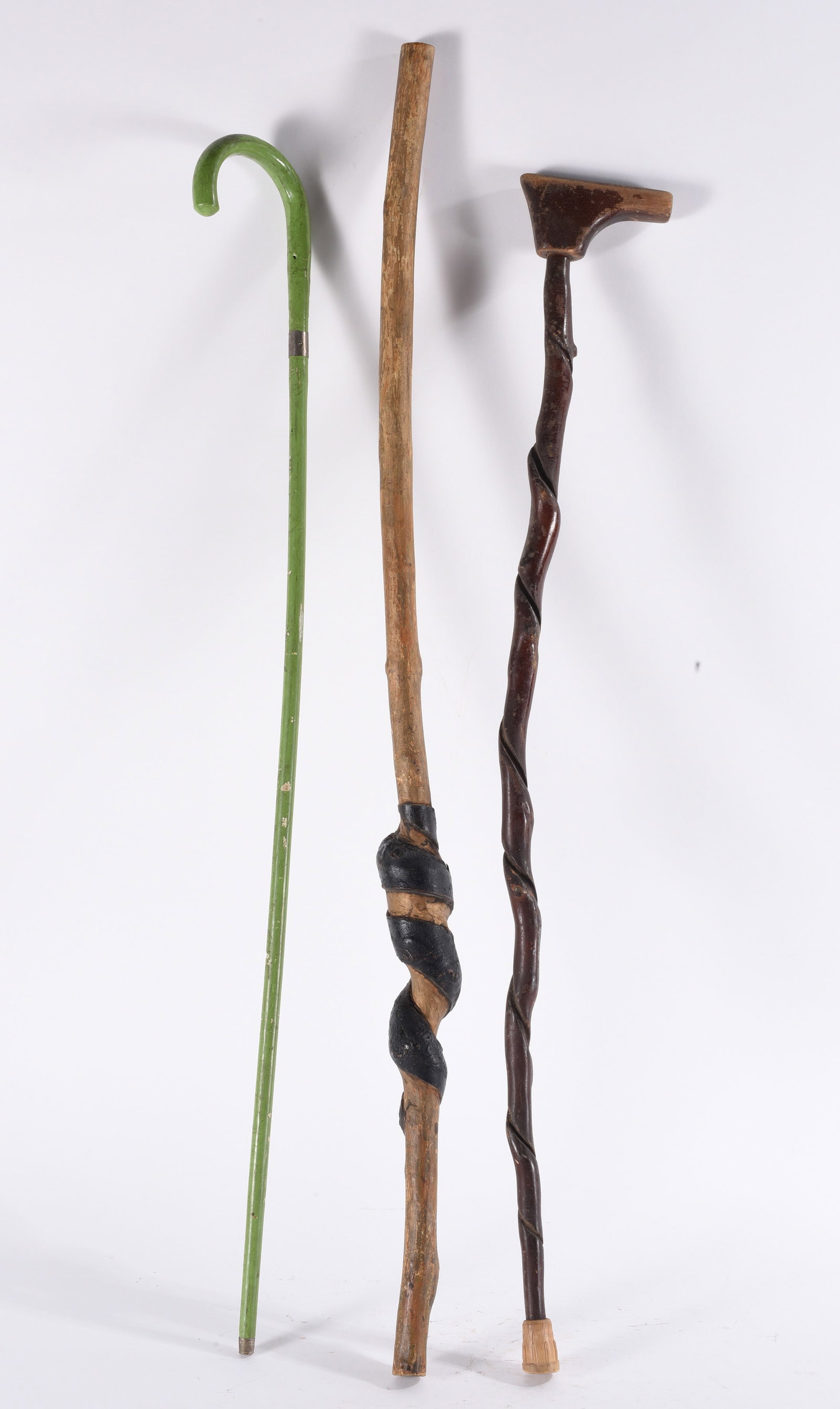Carved Walking Stick Collection (1 of 3)