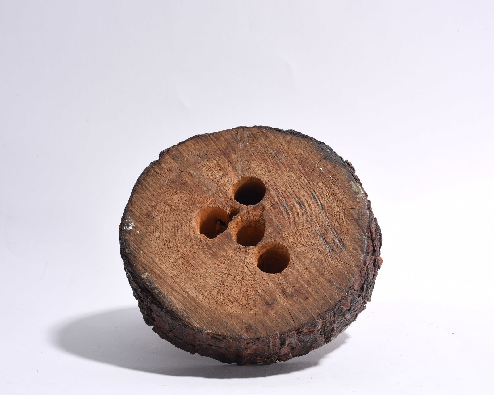 Carved Wooden Buffalo - 3