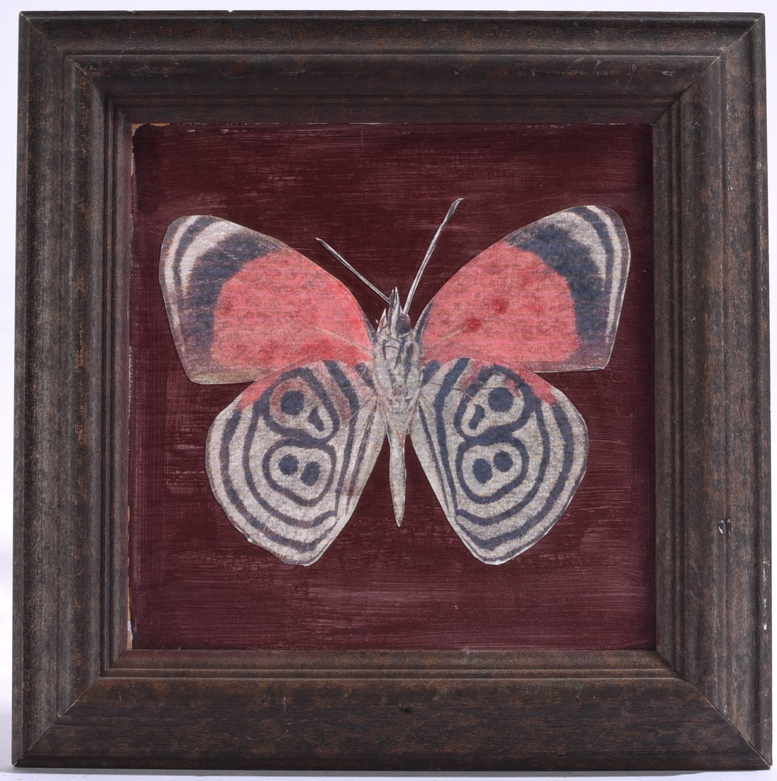 Orginal stencil painting by Gale Blair: 10"x10" Diaethria clymena, commonly known as the "Eighty-eight" butterfly due to the distinct "88" pattern on its hindwings - mixed media on boared - signed on back