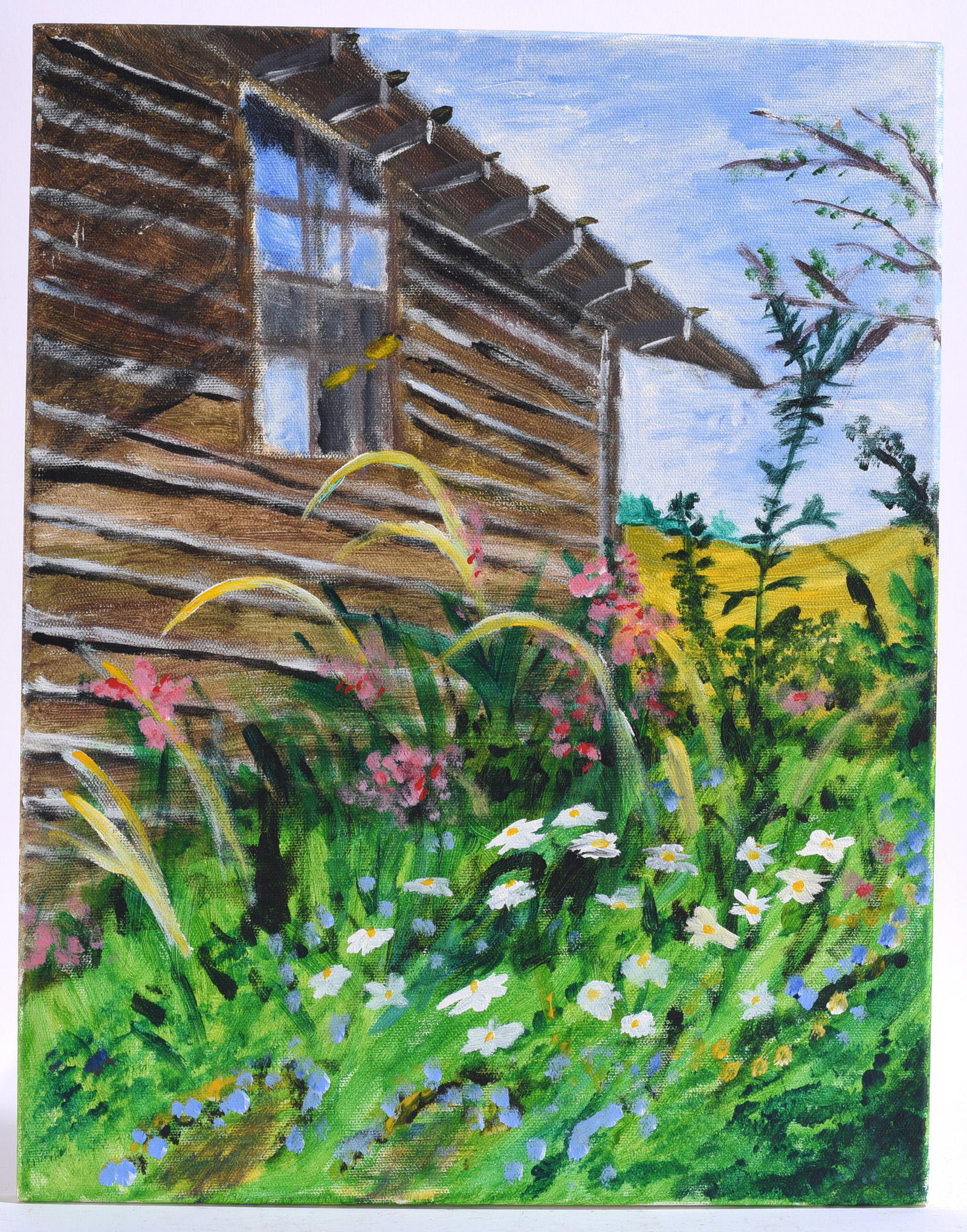 Wildflowers and tall grasses by Julia Staley (1 of 2)