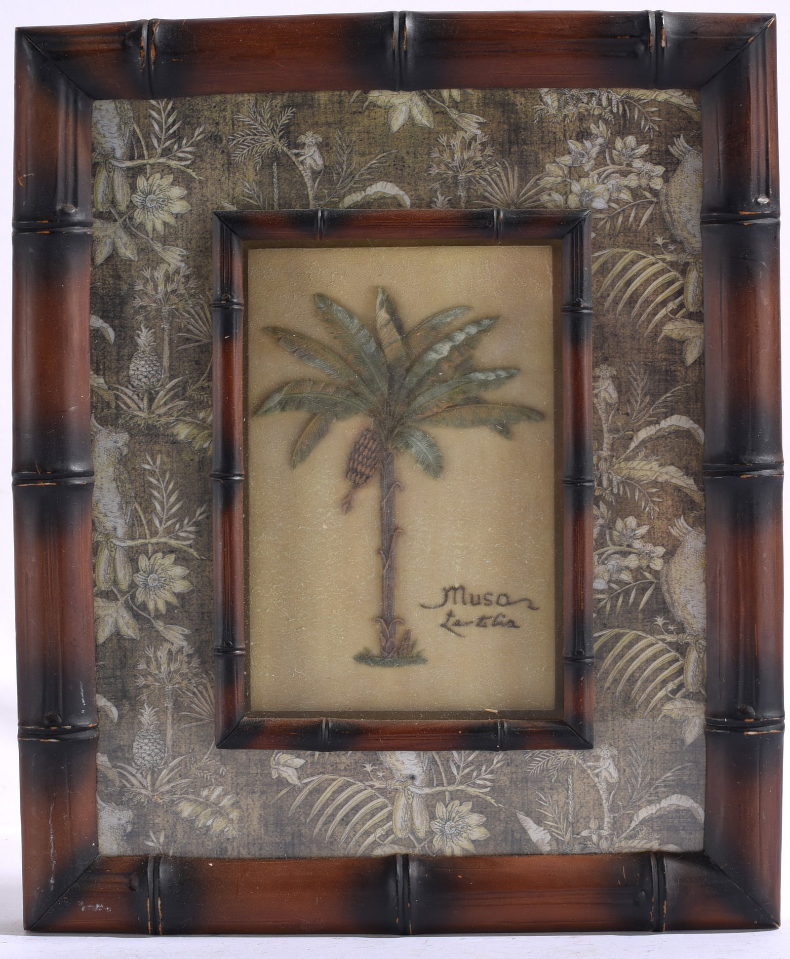 Charlene Audrey Tropical Musa Textiles banana Palm tree Framed (1 of 2)