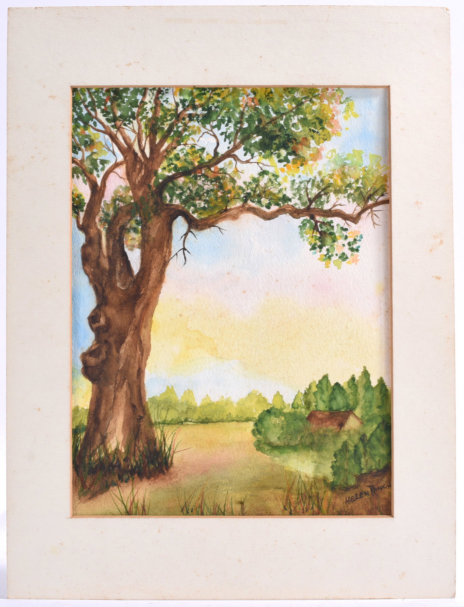 Helen Rankin Watercolor Landscape with Oak Tree: 12"x16" Original watercolor on paper landscape featuring a majestic oak tree overlooking a peaceful rural field.