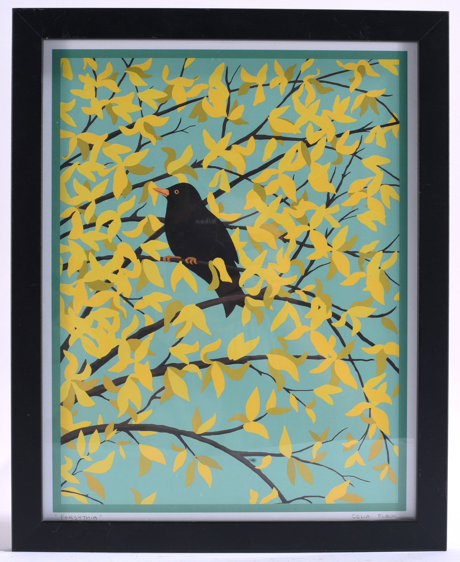 Pencil Signed Celia Flock "Forsythia" Bird Print: 12"x15" Framed print titled "Forsythia" by Celia Flock depicting a blackbird among bright yellow blossoms.