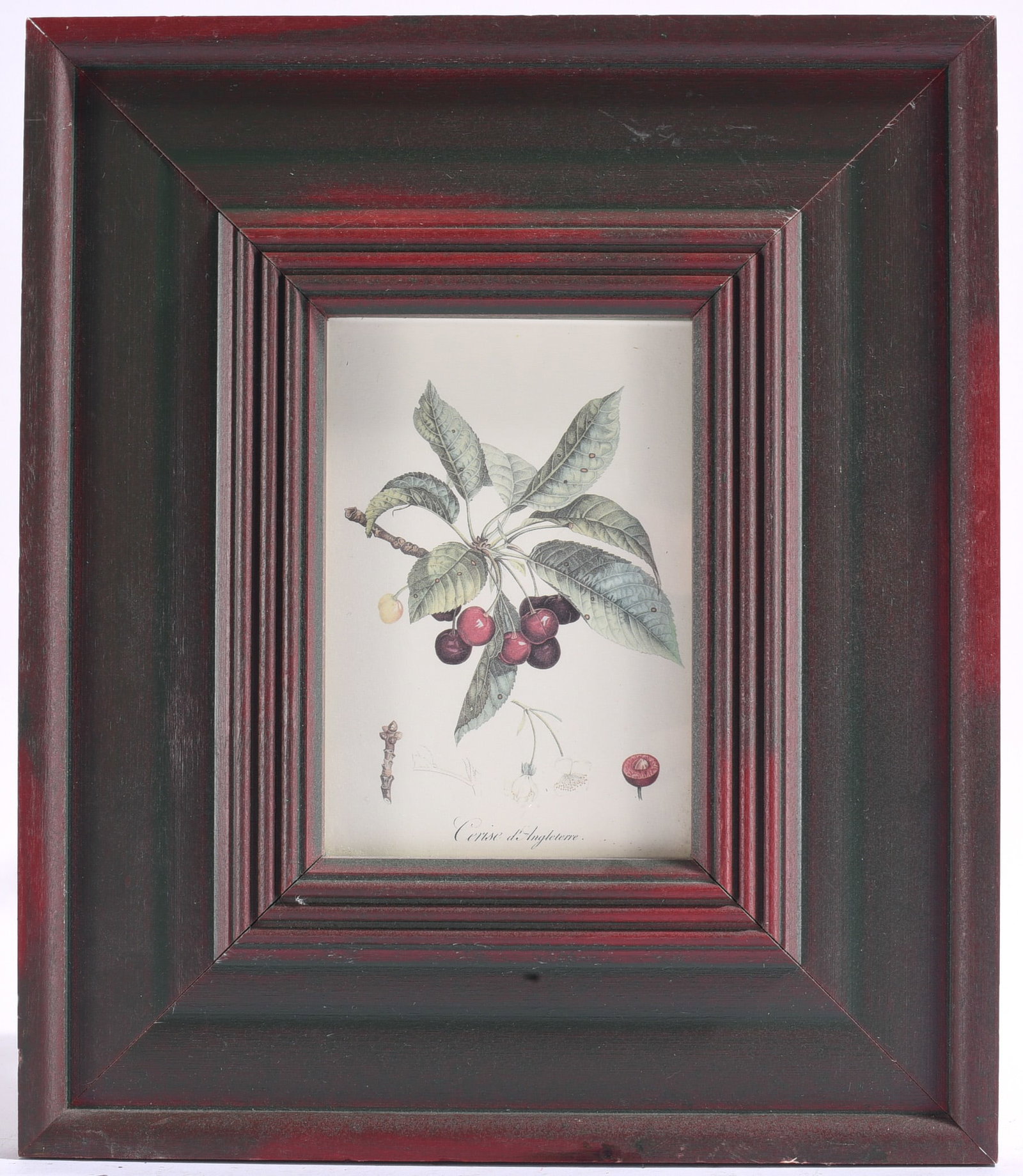 Framed Botanical Cherry Study Print (1 of 2)