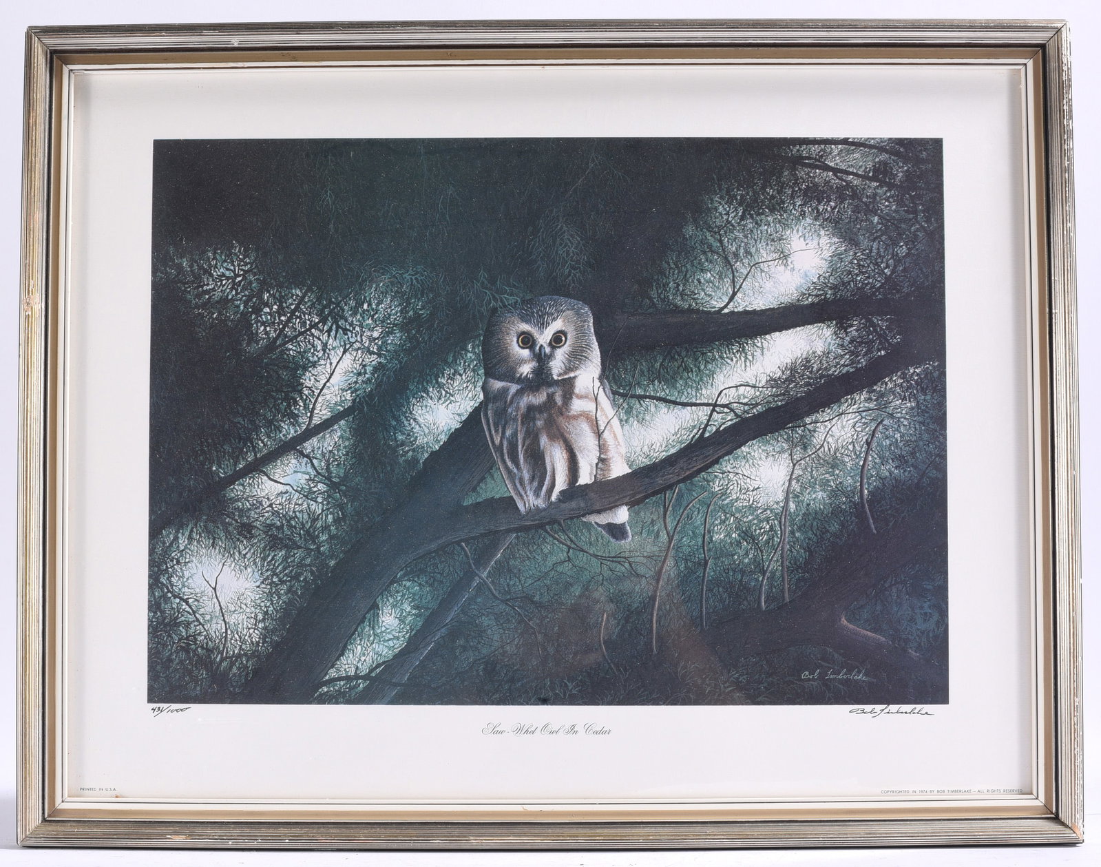 Signed Bob Timberlake "Saw-Whet Owl in Cedar" Limited Edition Print (1 of 2)