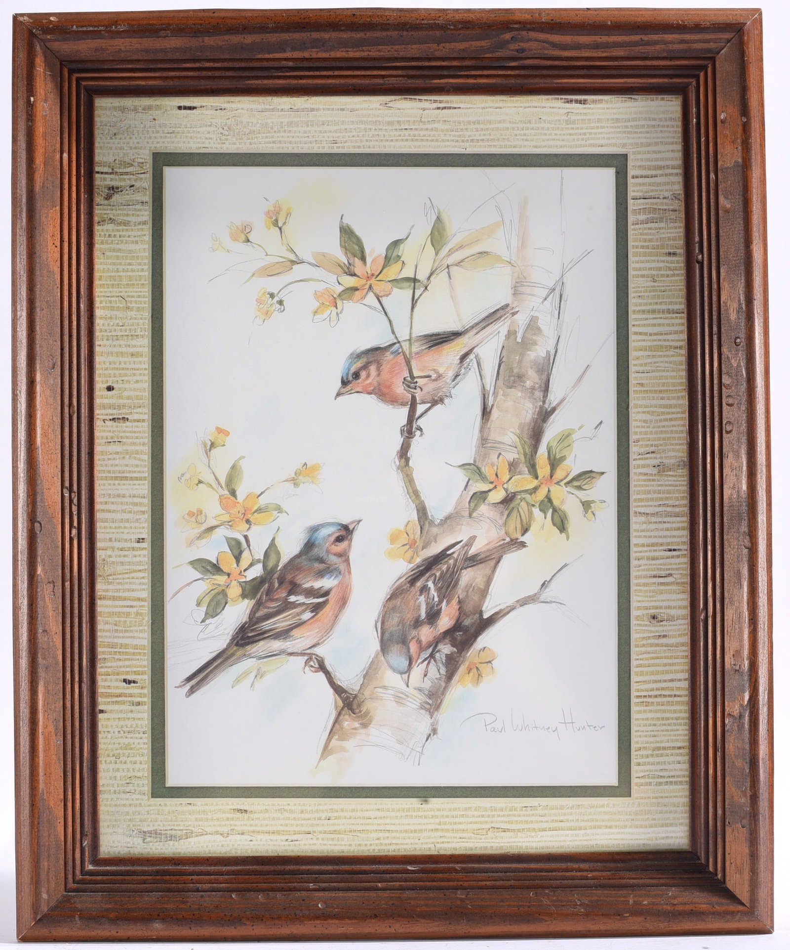 Paul Whitney Hunter Songbirds Watercolor Print (1 of 1)