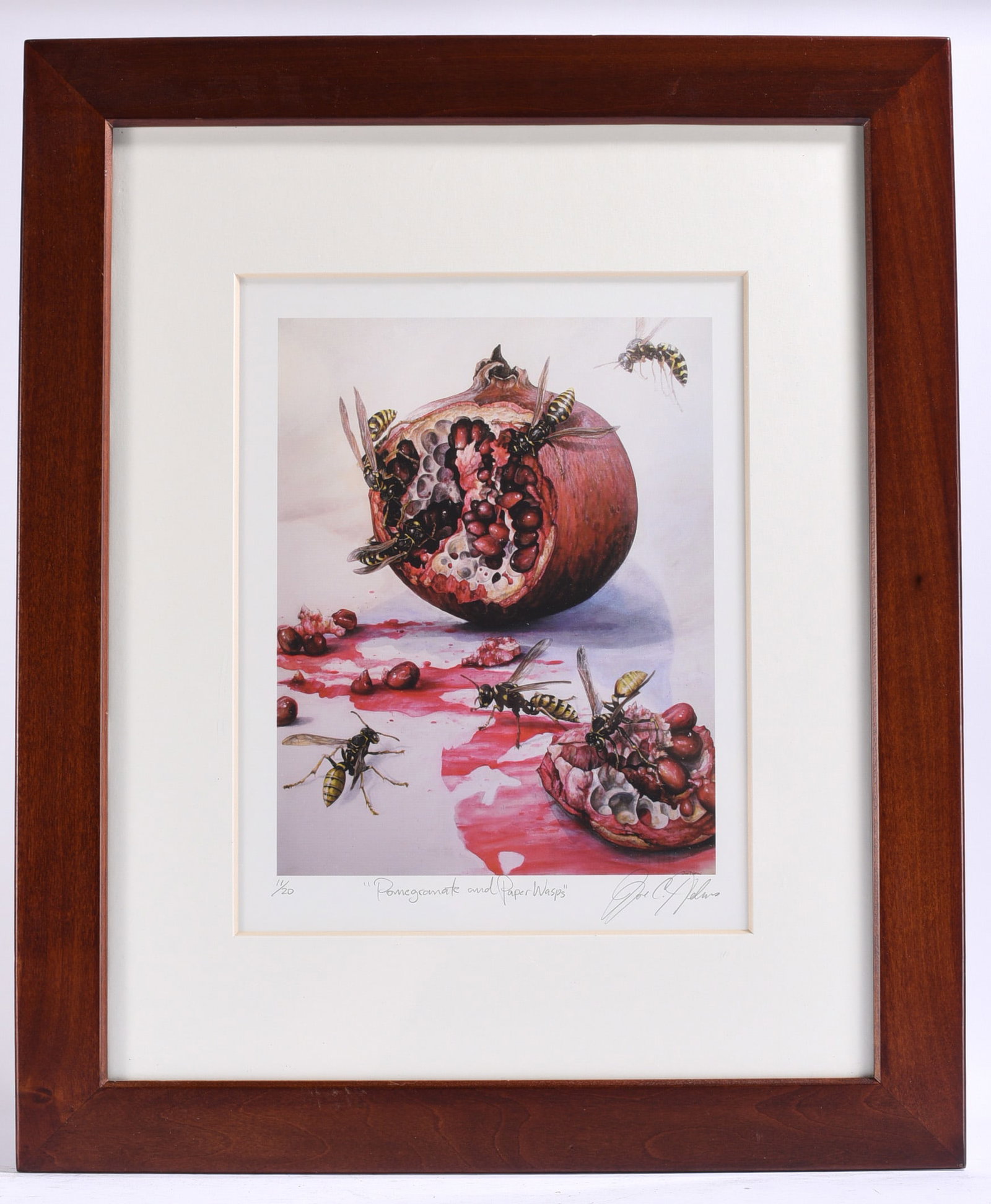 "Pomegranate and Paper Wasps" Limited Edition Print Pencil Signed (1 of 1)
