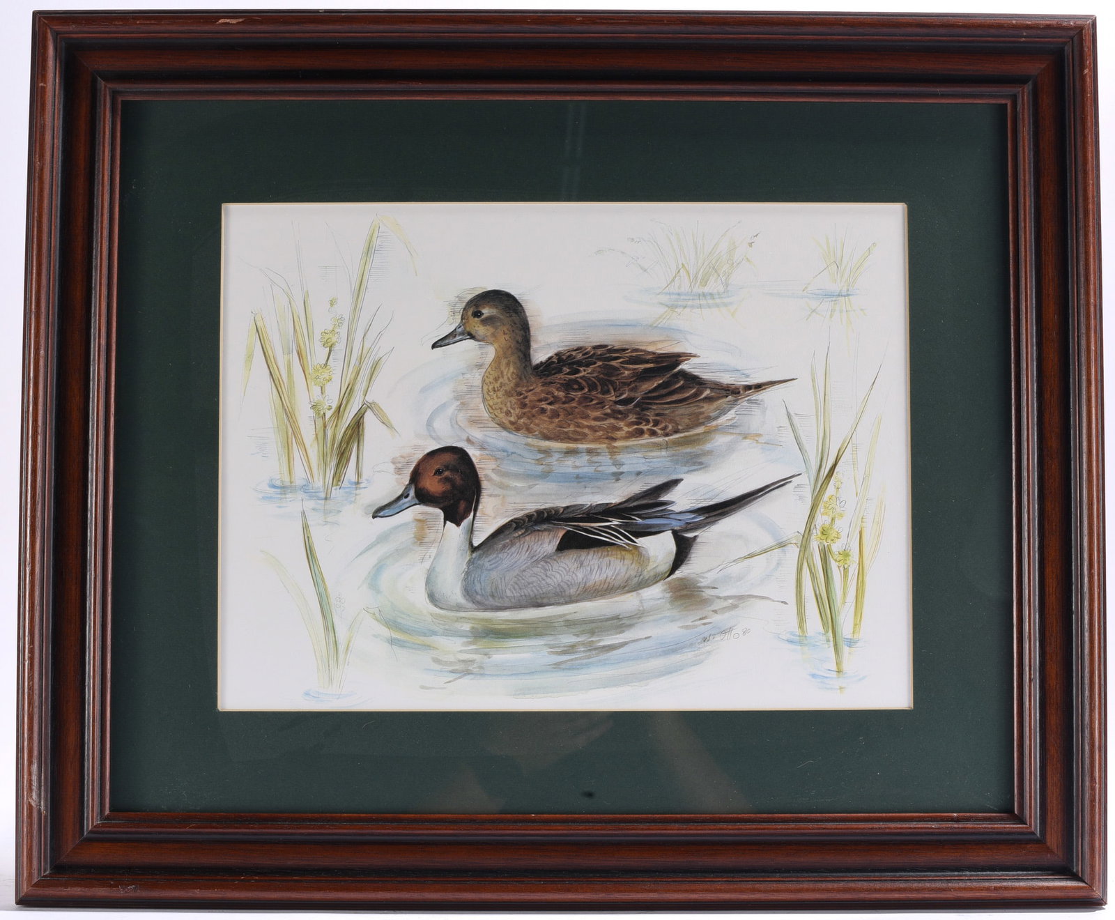 Framed Waterfowl Pair Watercolor Signed (1 of 2)