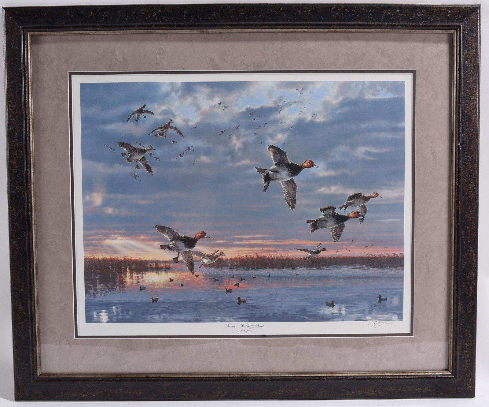 Scot Storm "Return to Haybale" Print Pencil Signed: 34"x28" Scot Storm limited edition print titled Return to Haybale, depicting redhead ducks descending over a marsh at sunrise. Signed, numbered, matted, and framed.