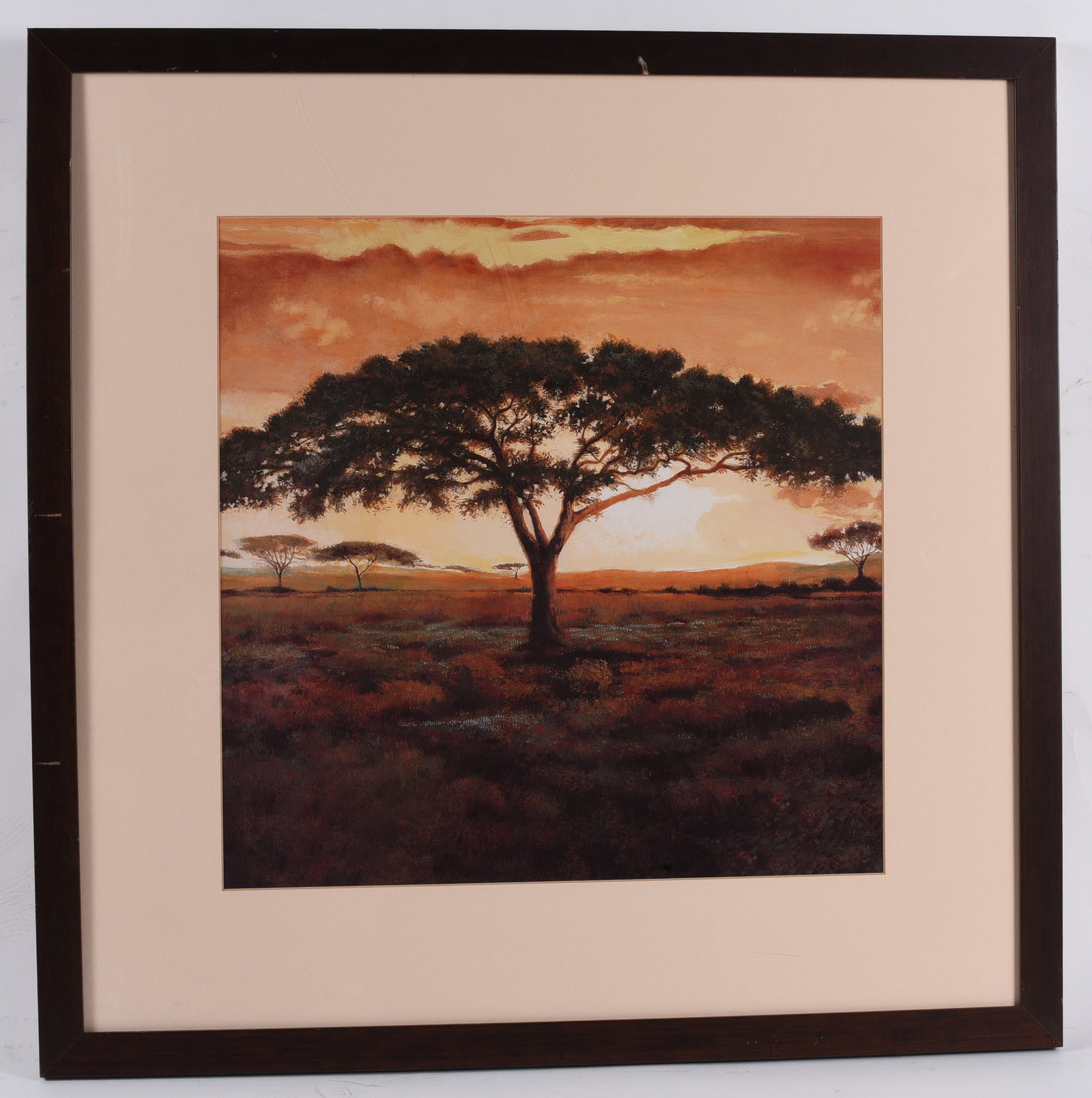 Framed African Acacia Tree Landscape Print (1 of 1)