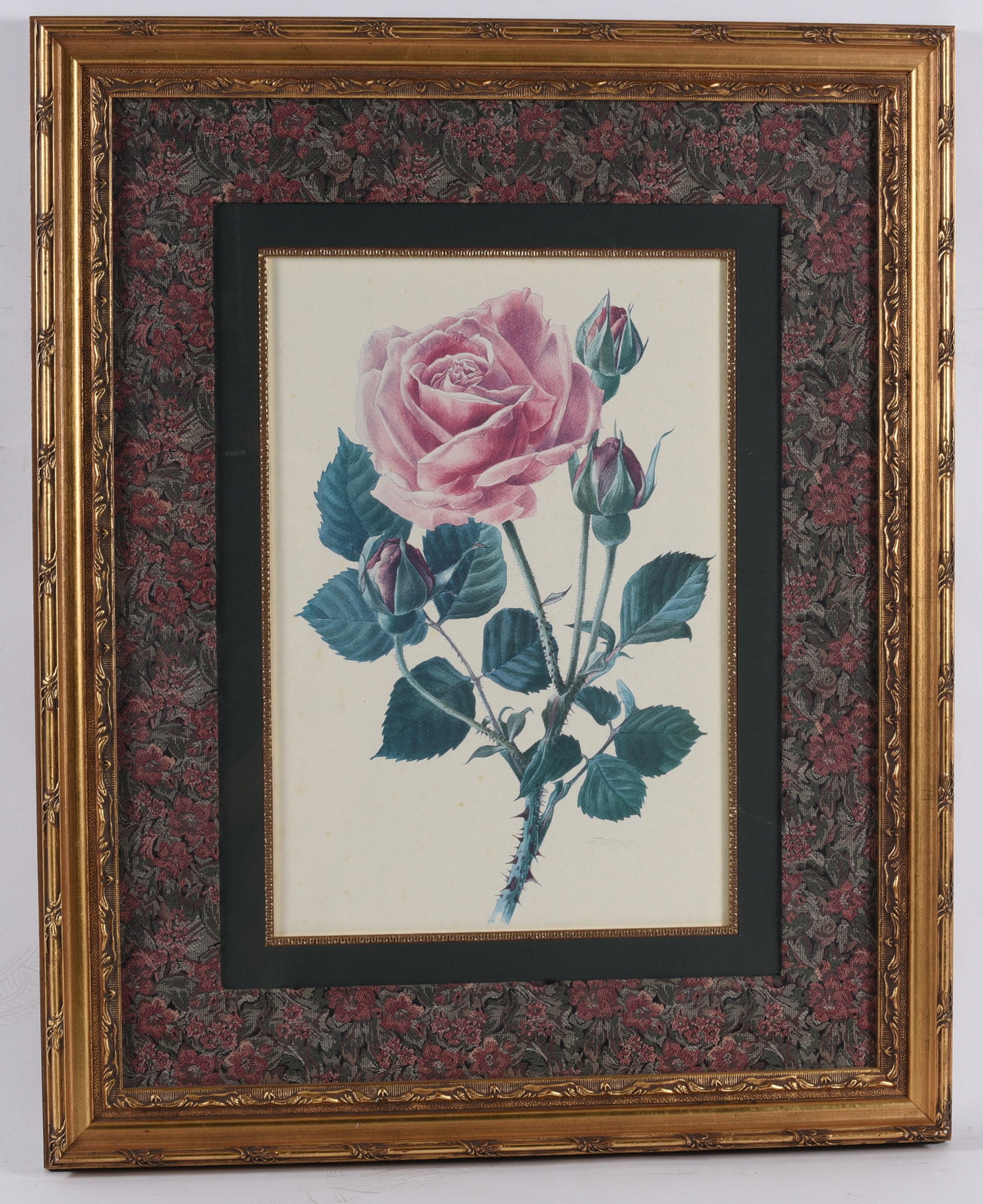 Framed Botanical Pink Rose Print: 32"x25" Botanical print featuring a fully opened pink rose with buds and foliage. Professionally triple matted with decorative floral fabric matting and housed in an ornate gilt frame for elegant trad