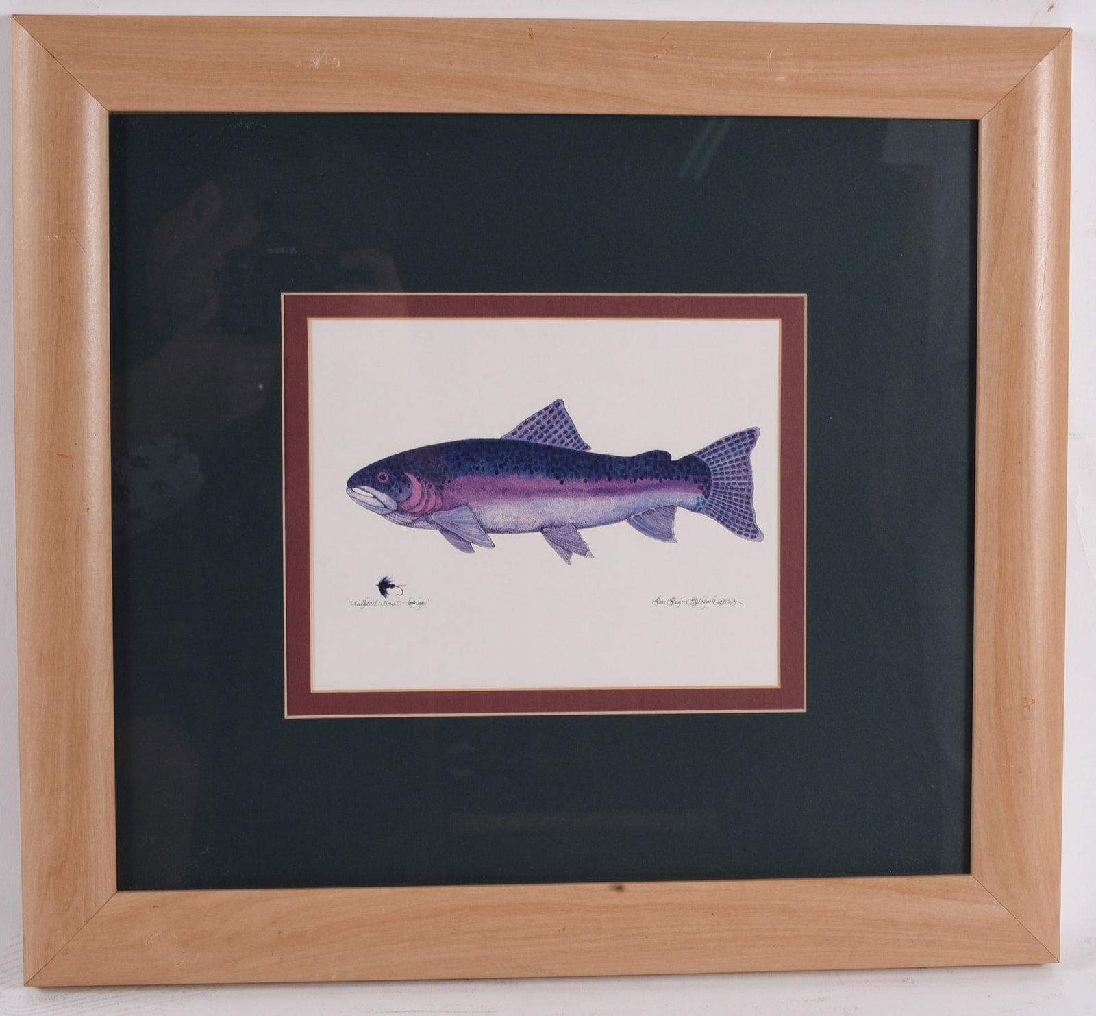 Framed Rainbow Trout Wildlife Print (1 of 1)