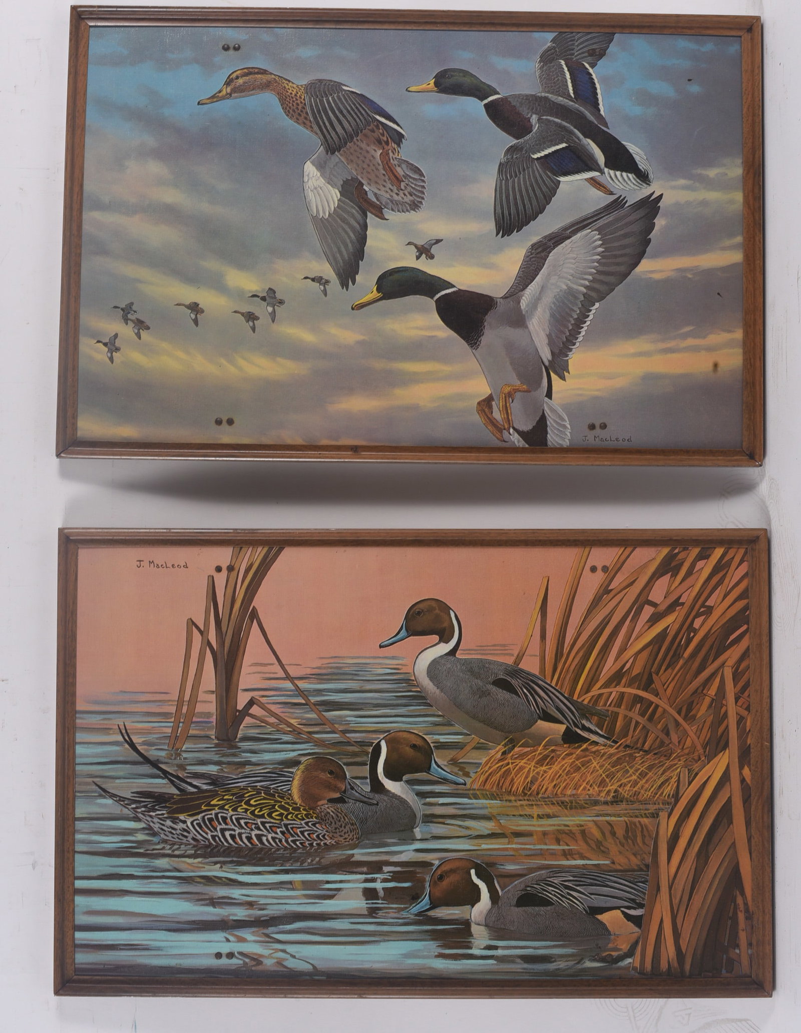 Framed J. MacLeod Waterfowl Print Pair (1 of 1)