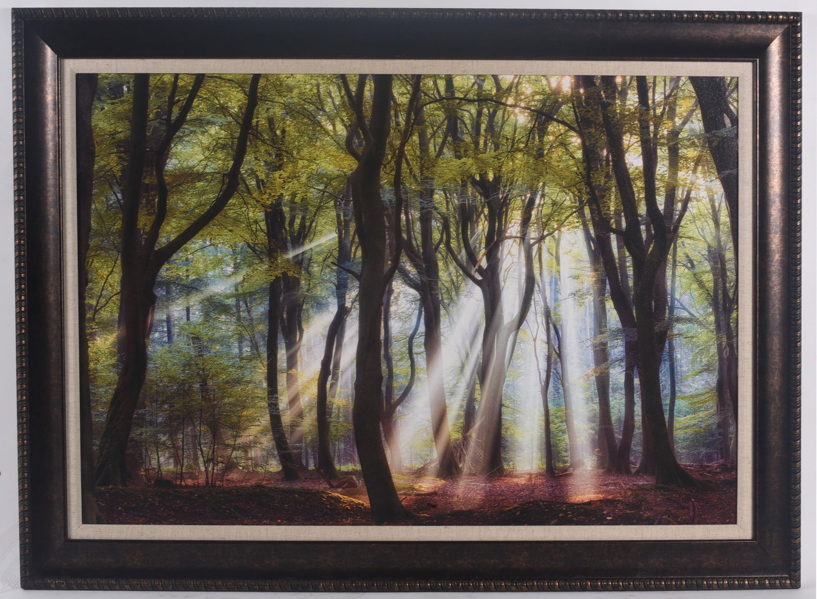 Framed Forest Sunbeam Landscape Print (1 of 1)
