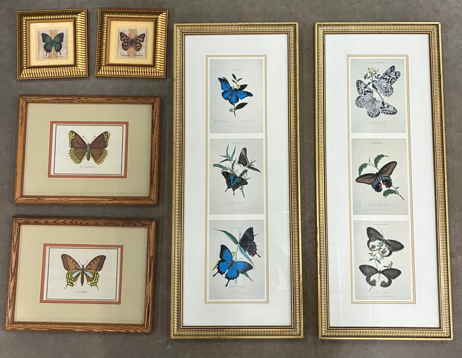 Assorted Framed Butterfly & Lepidoptera Wall Art Collection: Largest 12"x29" Assorted framed butterfly-themed wall art including vintage-style butterfly studies, botanical butterfly prints, and decorative butterfly illustrations in a variety of coordinating fra