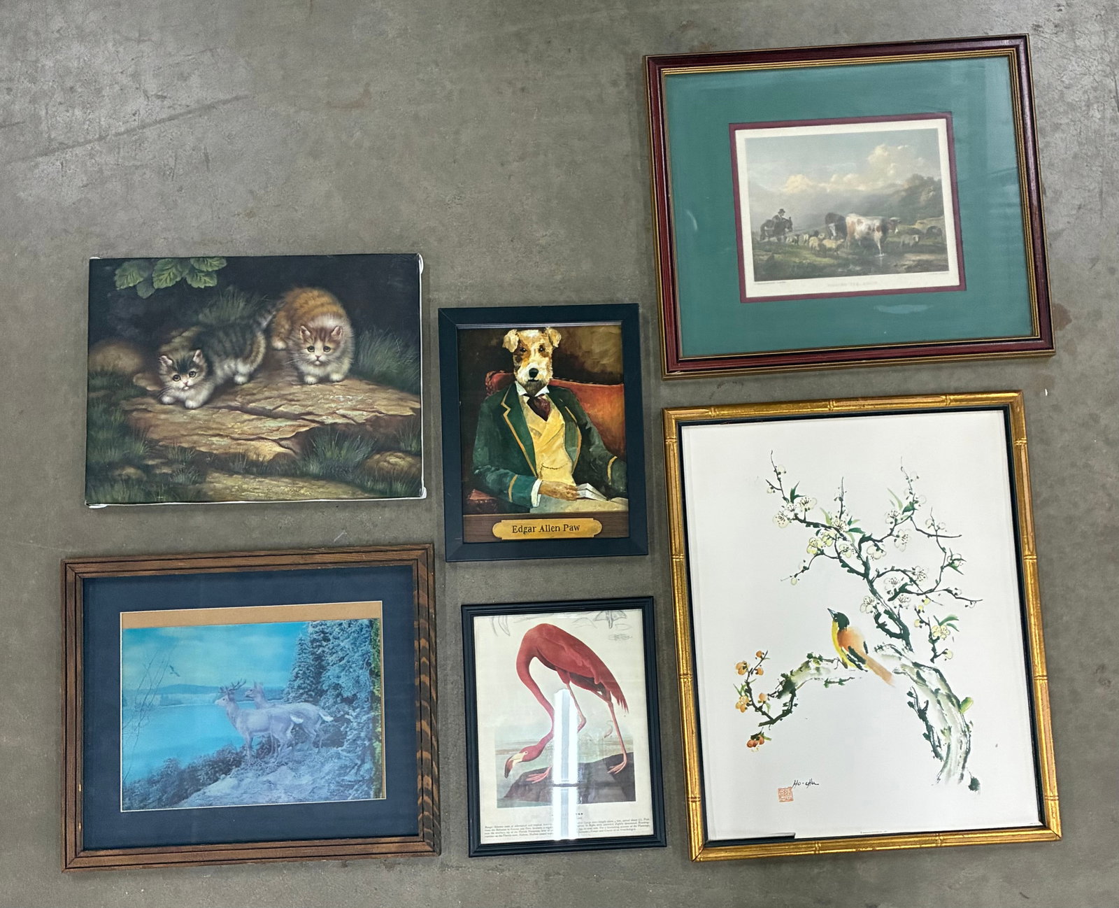 Assorted Animal & Wildlife Wall Art Collection (1 of 1)