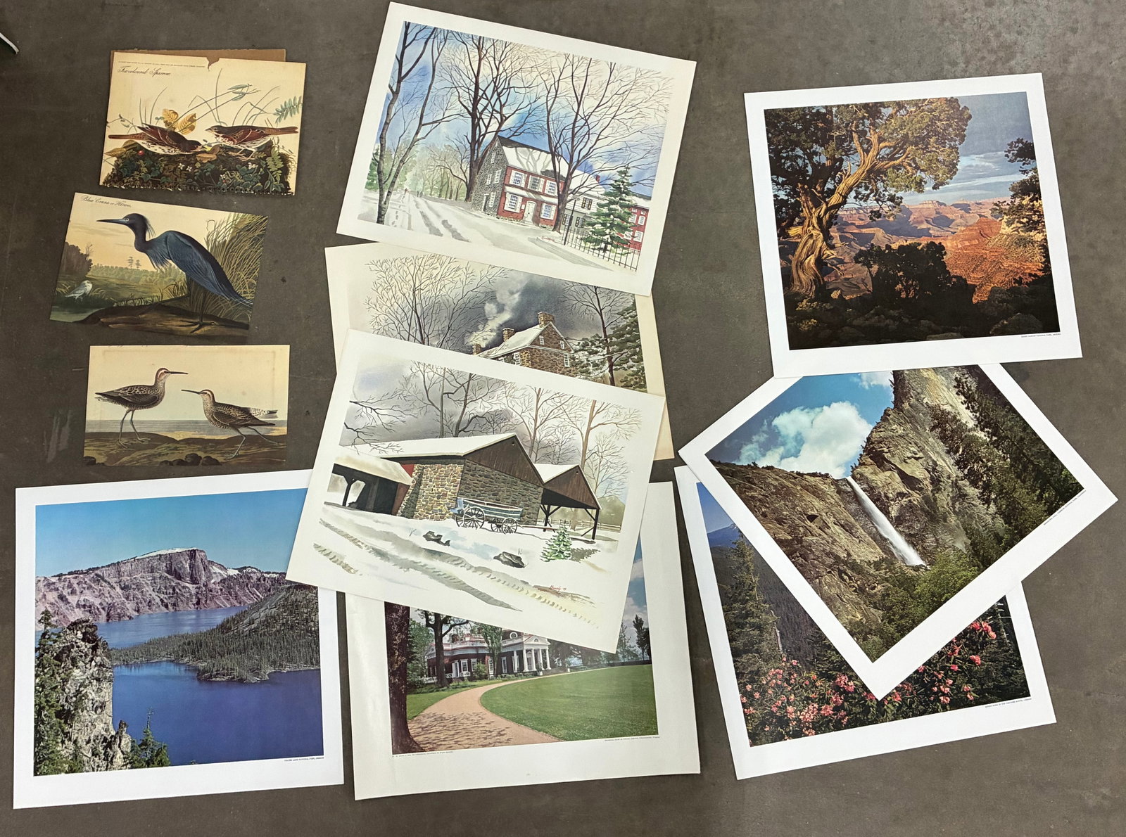 Assorted Vintage & Nature Print Collection (1 of 1)