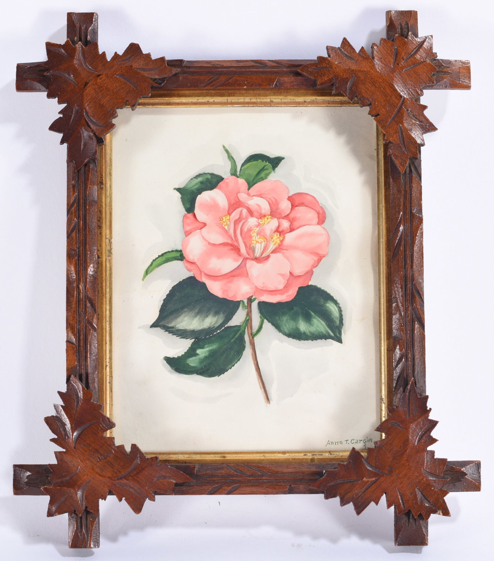 Anne T. Czergin Camellia Watercolor in Carved Leaf Frame: 14"x12" Original watercolor botanical study depicting a pink camellia blossom with green leaves, signed lower right "Anne T. Czergin." Housed in an elaborate hand-carved wooden frame decorated with
