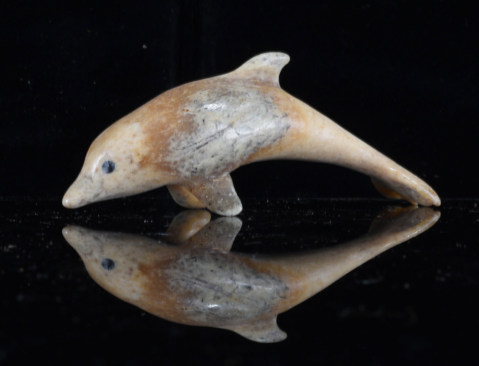 Inuit Carved Bone Dolphin Figure: 1.5" Inuit carved bone dolphin figure rendered in a streamlined swimming pose with dorsal fin, side flippers and elongated tail. Features a dark accented eye and attractive natural cream, gray and bro