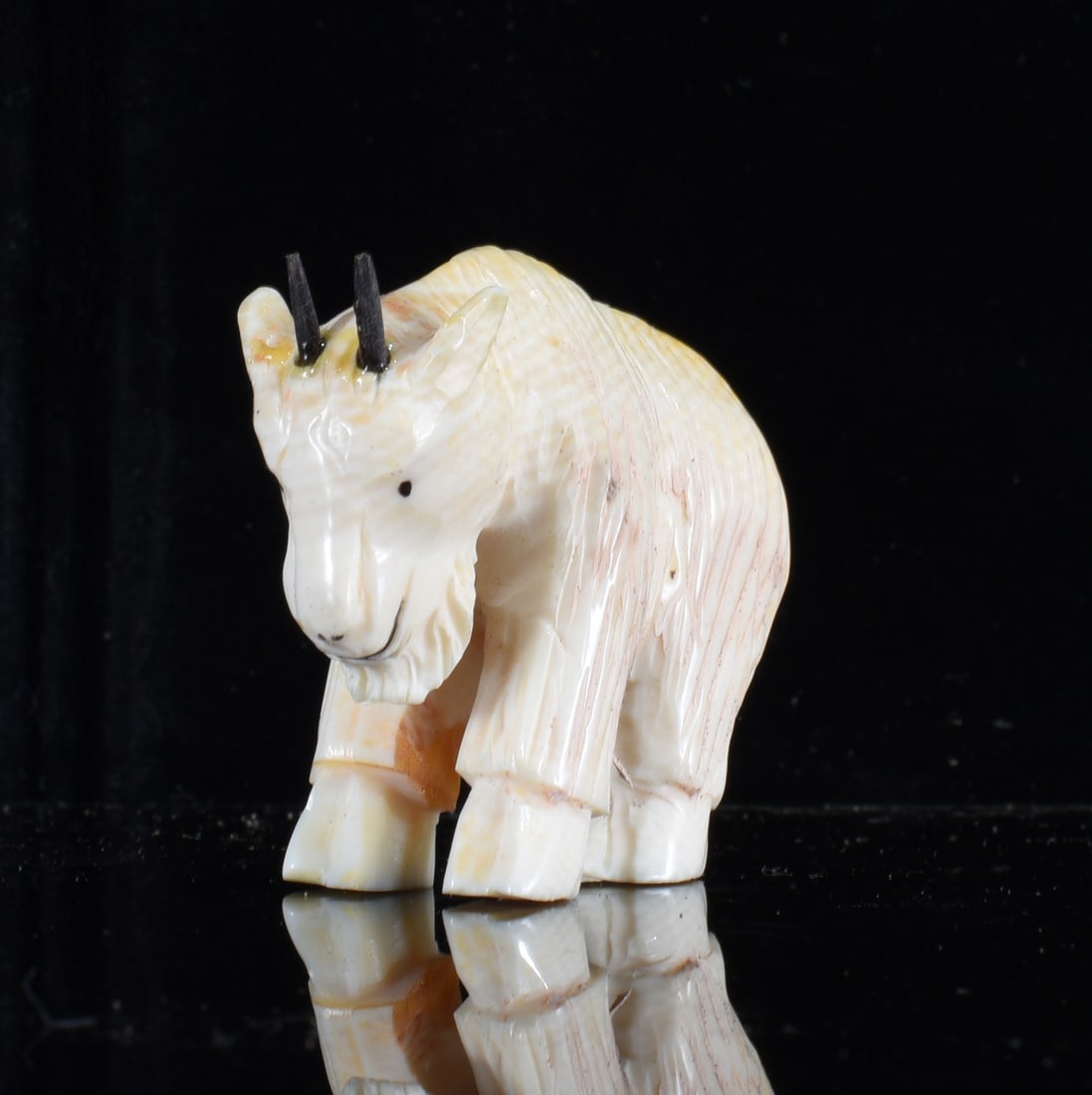 Inuit Carved Bone Mountain Goat Figure: 1.5" Inuit carved bone mountain goat figure standing on four legs with long carved coat and projecting dark horns. Detailed incised hair, facial features and hooves with cream and warm yellow colorati