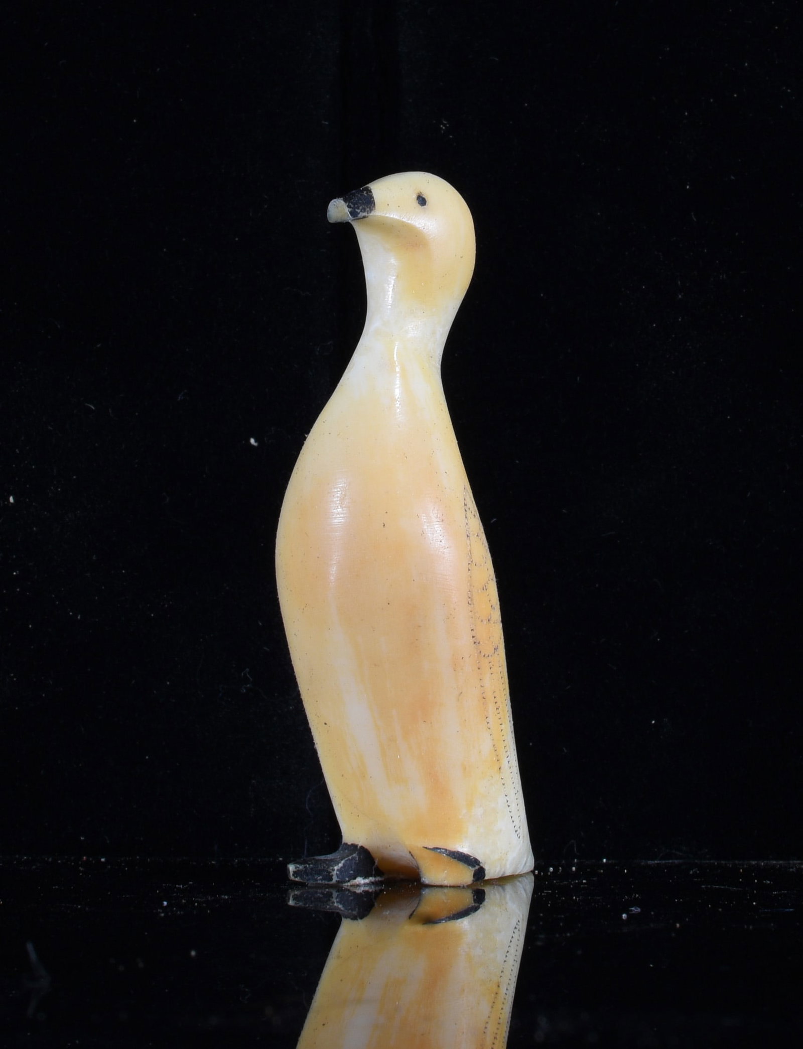 Inuit Carved Bone Standing Bird Figure: 2.5" Inuit carved bone standing bird figure with elongated neck and streamlined body. Dark accents define the beak, eye and feet against the warm cream and yellow surface.