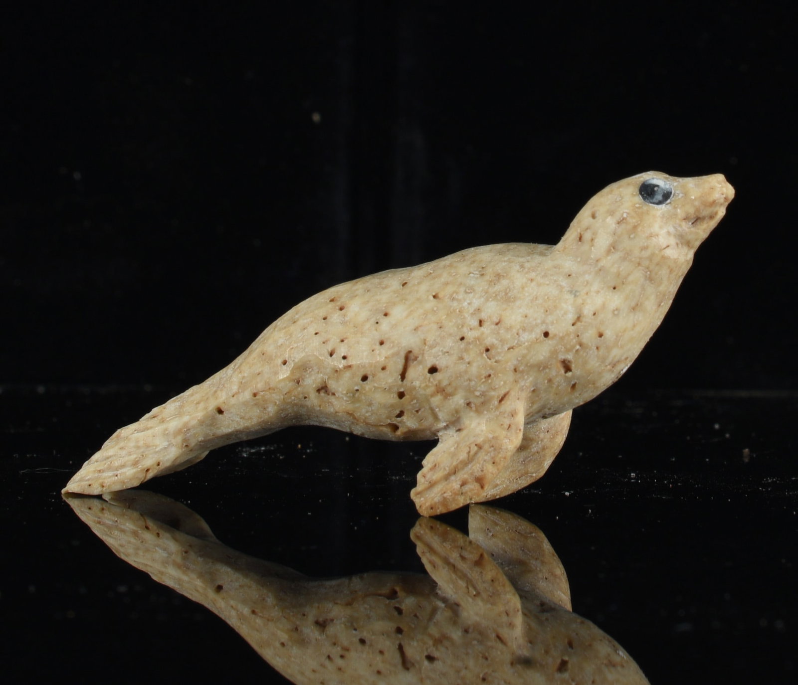 Inuit Carved Bone Seal Figure: 1" Inuit carved bone seal figure depicted in a streamlined pose with raised head, extended flippers and tapered rear body. Natural porous surface with warm tan coloration and inset eye.