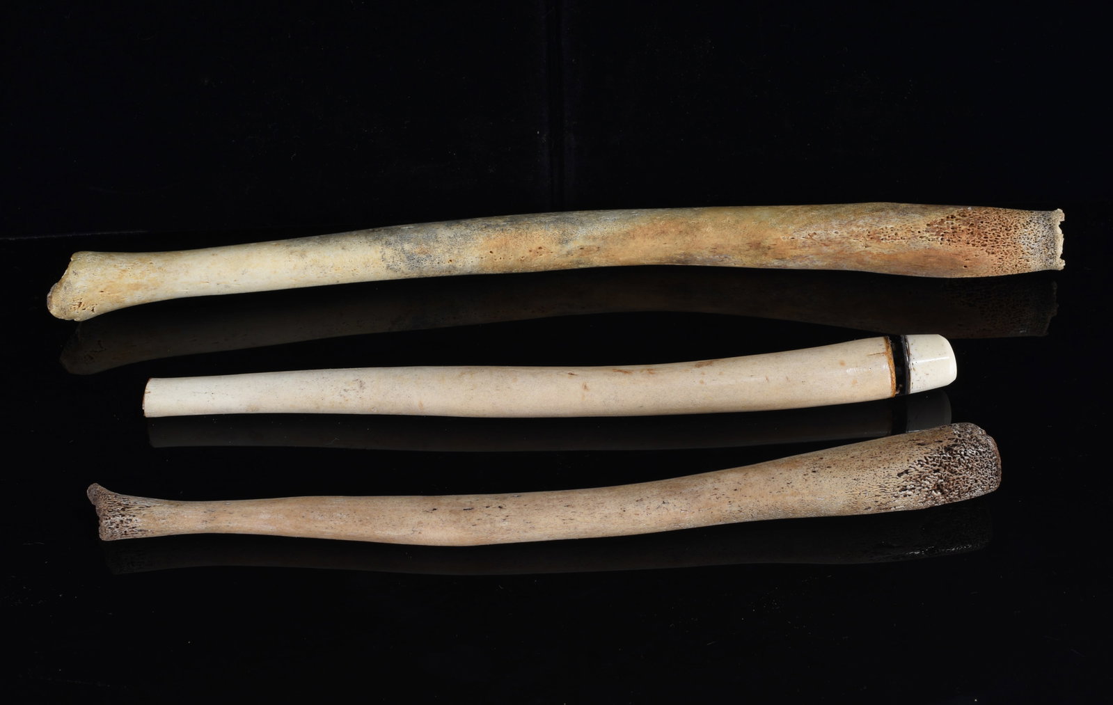 Inuit Bone and Ivory Implements (1 of 1)