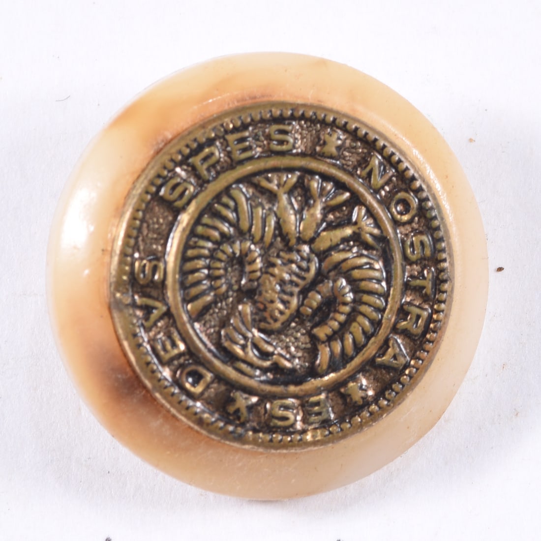 Antique U.S. Army General Service Eagle Button: Antique domed cream-colored button with inset brass-tone Great Seal of the United States design featuring an American eagle and surrounding "E PLURIBUS UNUM" and "DEUS SPES NOSTRA" lettering. Integral