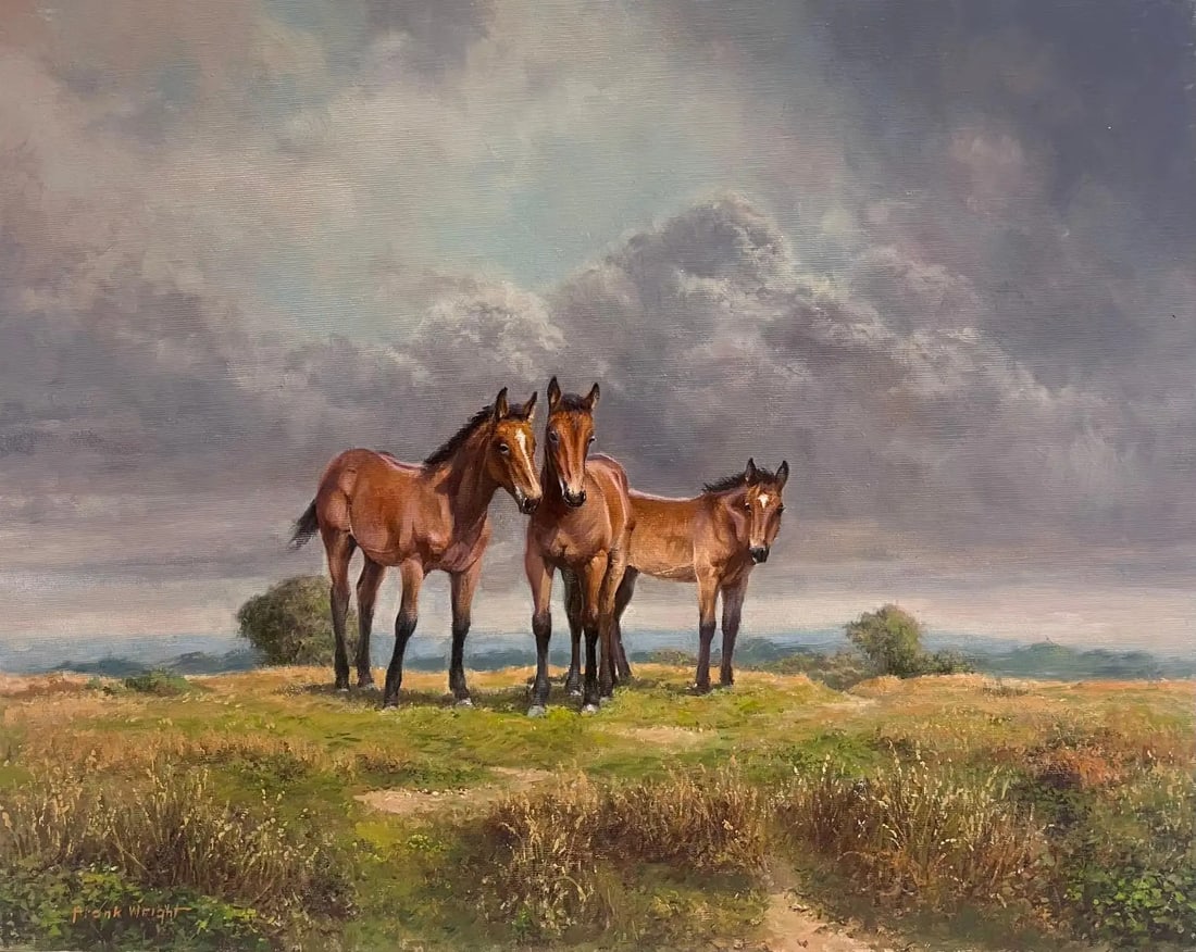 Ponies on Dartmoor Vintage 20th Century English Signed Oil Painting: Ponies on Dartmoor by Frank Wright (1928 - 2016) signed oil on canvas, unframed canvas : 16 x 20 inches Provenance: private collection, England Condition: very good condition For more any more informa