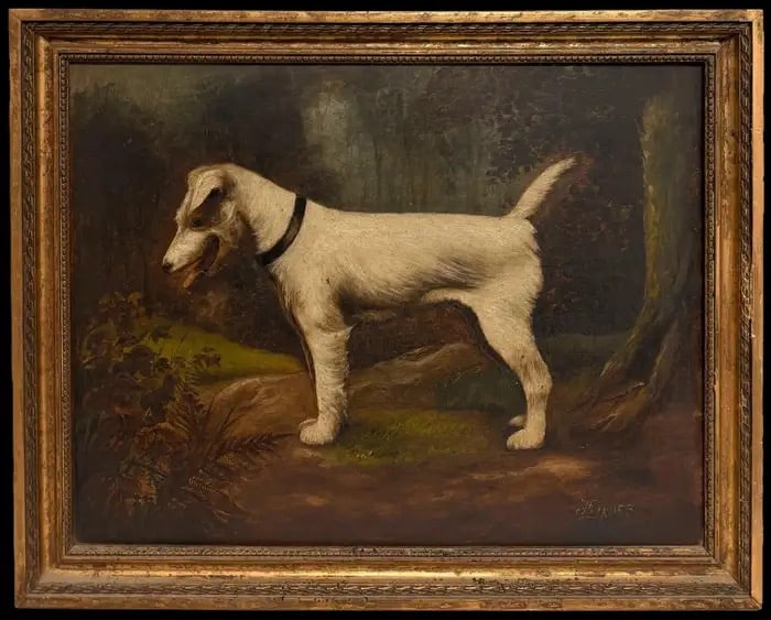 English White Terrier in Woodland Setting Antique Dog Portrait Oil Painting 1953: English Terrier in Woodland Setting, Signed Antique Dog Portrait Oil Painting by F. B. Davies (British, late 19th / early 20th century) signed oil on canvas, framed Framed: 16.5 x 20.5 inches Canvas: 