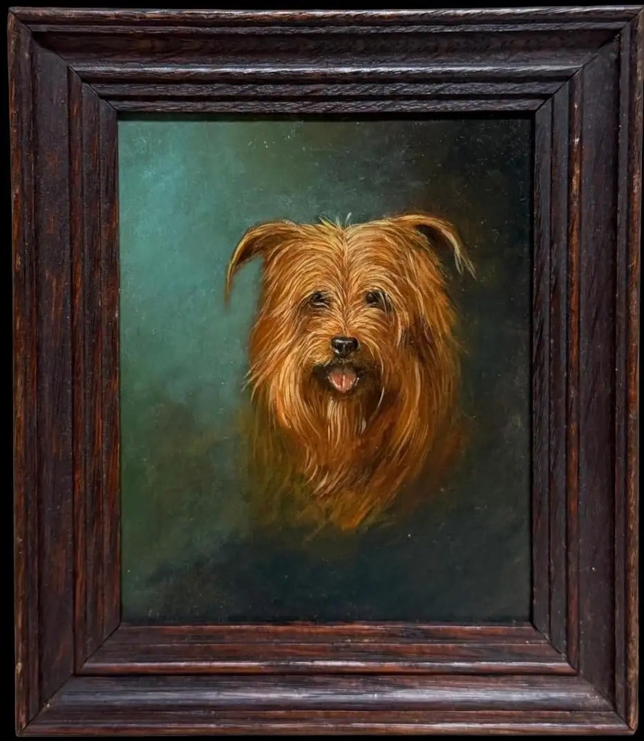 Antique Portrait of Yorkshire Terrier Dog Scruffy Tan Coat English original 98': Portrait of a Yorkshire Terrier Dog English, late 19th century oil on board, framed framed: 7 x 6 inches board: 5.75 x 4.5 inches Provenance: private collection, UK Condition: very good condition For 
