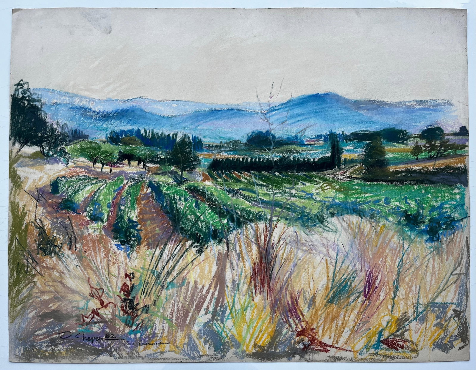 Lourmarin Luberon Provence Landscape Pastel by Pierre Neveu: Original 1982 pastel and coloured pencil landscape on paper by Pierre Neveu (French, b.1929), signed lower left and inscribed for Lourmarin. The drawing captures the Luberon countryside with vineyards